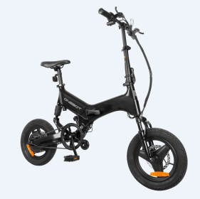 Electric Bicycle (Color: BLACK)